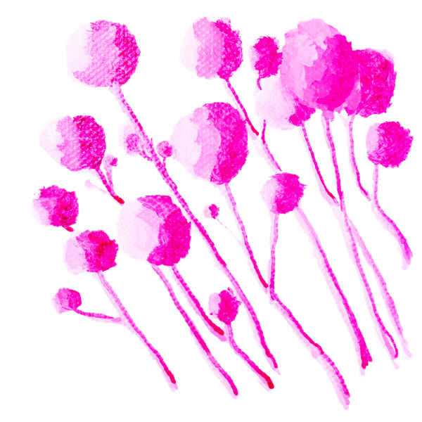 Peony Buds Fine Art Print by Marie Stephens