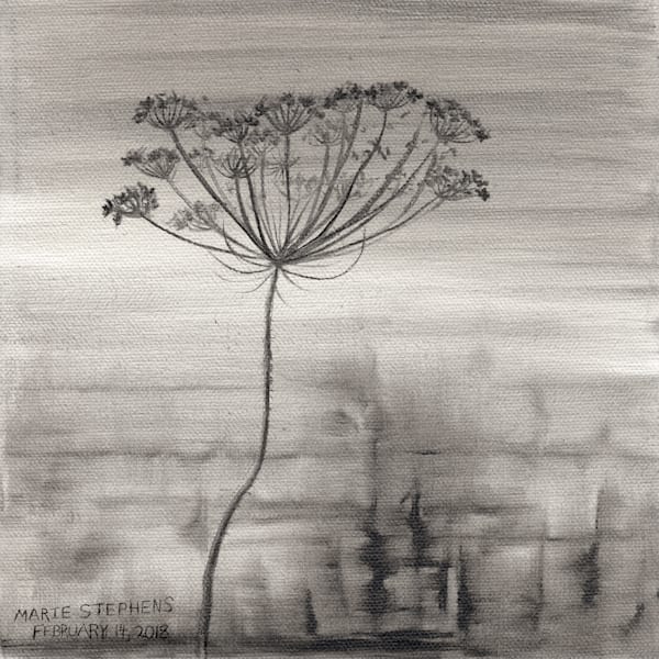 Order a Queen Ann's Lace Wall Art Print by Marie Stephens Art