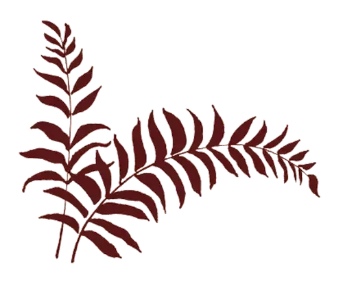 Red Fern Glass logo for Ed Pennebaker
