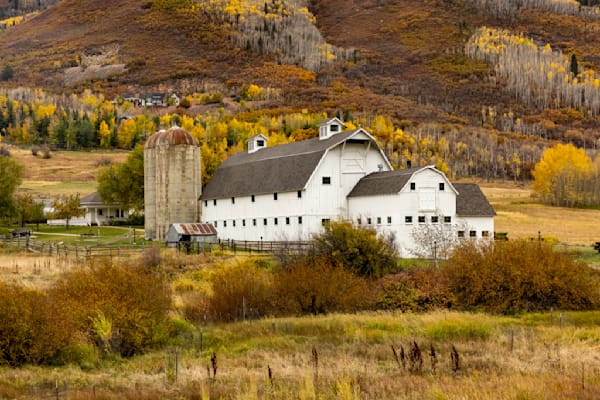 McPolin Barn Seasons