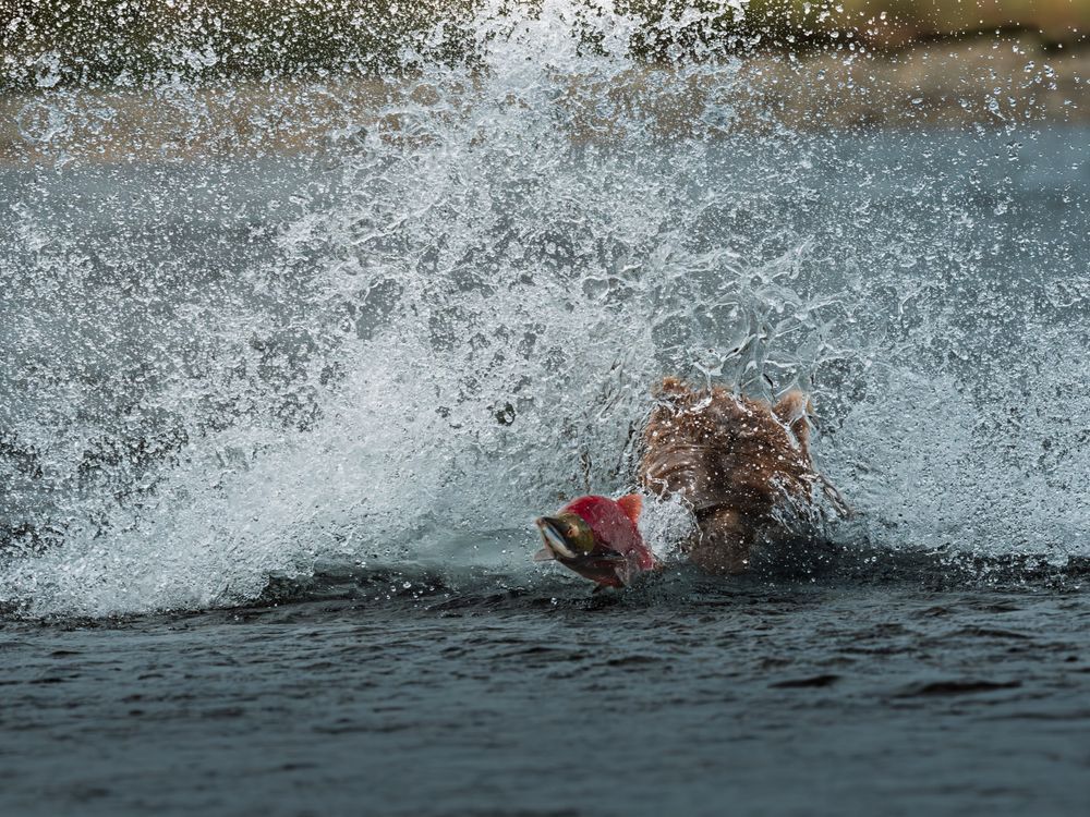 Breaking The Surface Photography Art | Marcus Johnson Photography