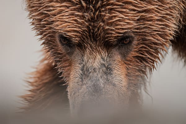 Intensity Photography Art | Marcus Johnson Photography