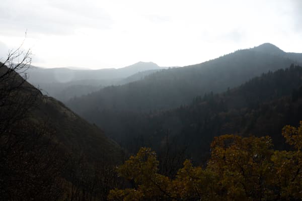 Mist's Quiet Passage Photography Art | Marcus Johnson Photography