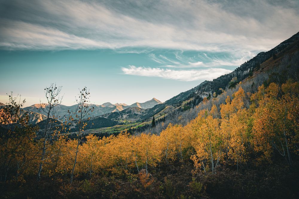Whispers Of Autumn Photography Art | Marcus Johnson Photography