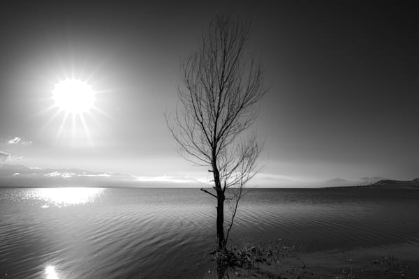 Whispers Of Stillness Monochrome Photography Art | Marcus Johnson Photography