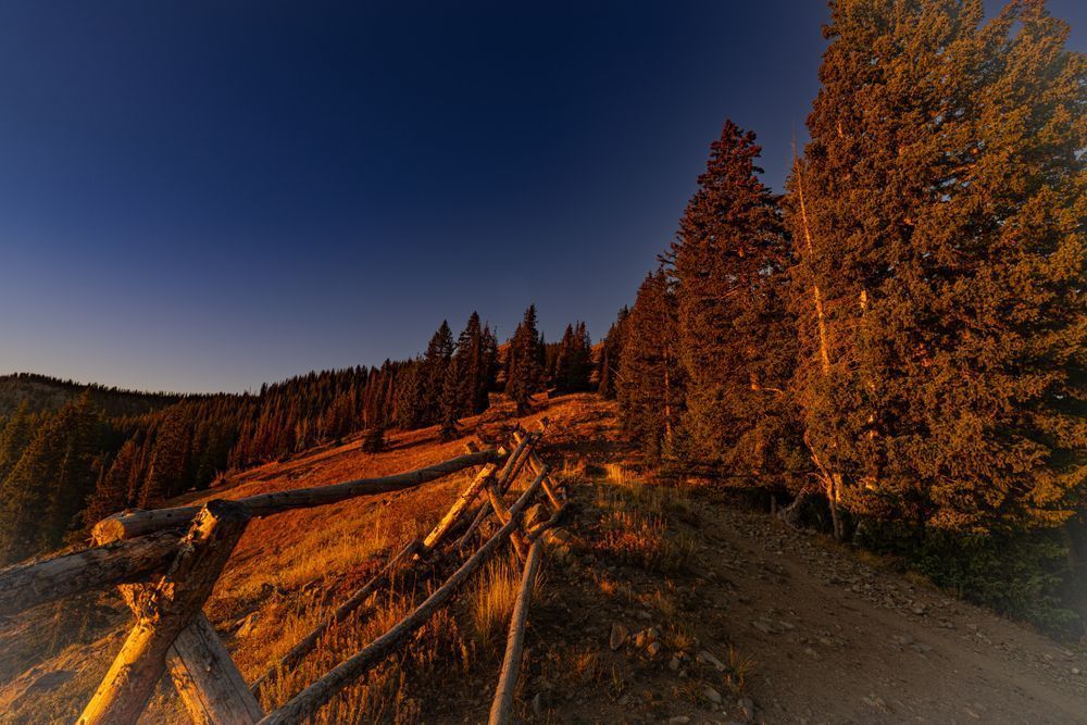 Twilight Path Photography Art | Marcus Johnson Photography