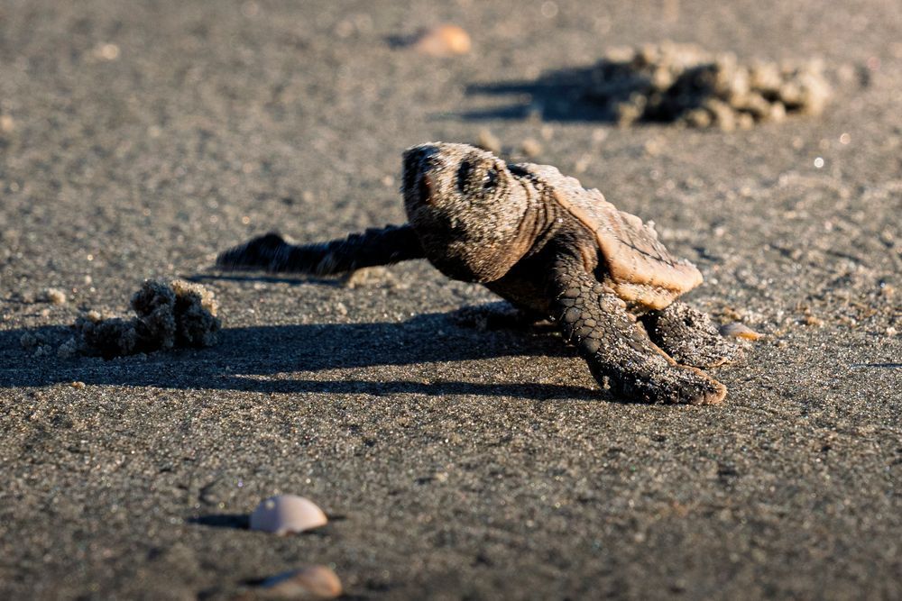 Toward The Water: A Contemplative Journey Photography Art | Marcus Johnson Photography