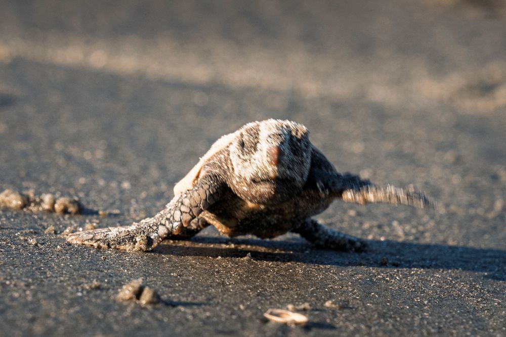 Emerging Journey Photography Art | Marcus Johnson Photography
