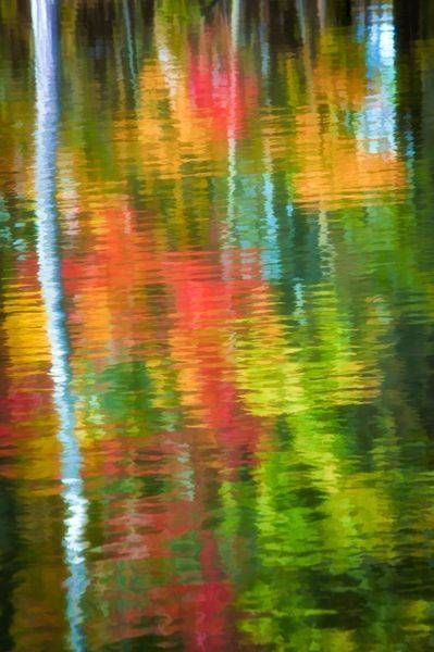 Fall Reflections