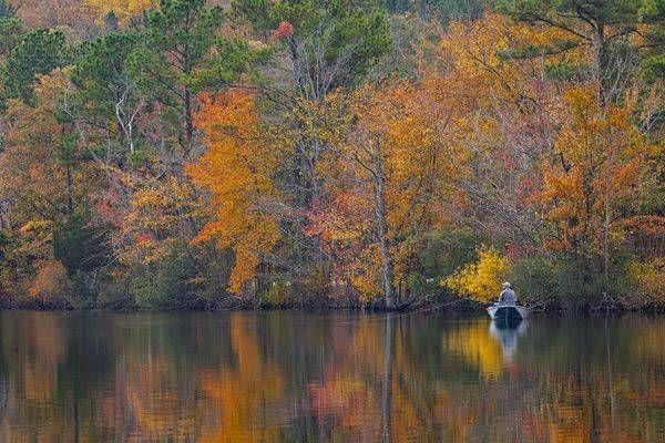 Fishing