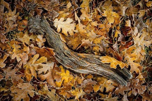 Reminder of Fall