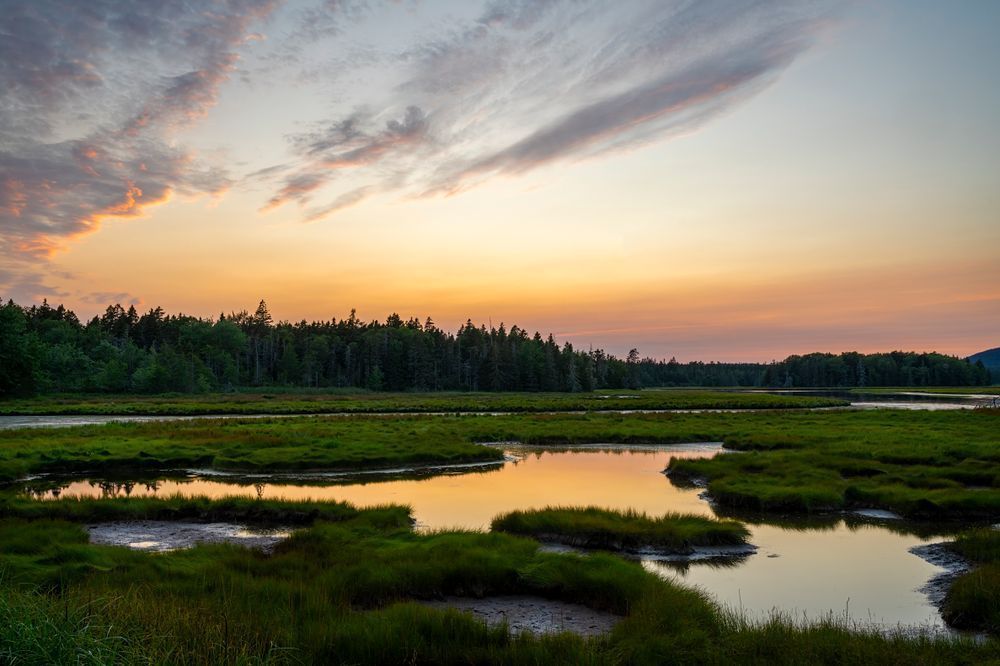 Bass Harbor Marsh Evening - Serene Landscape Photography