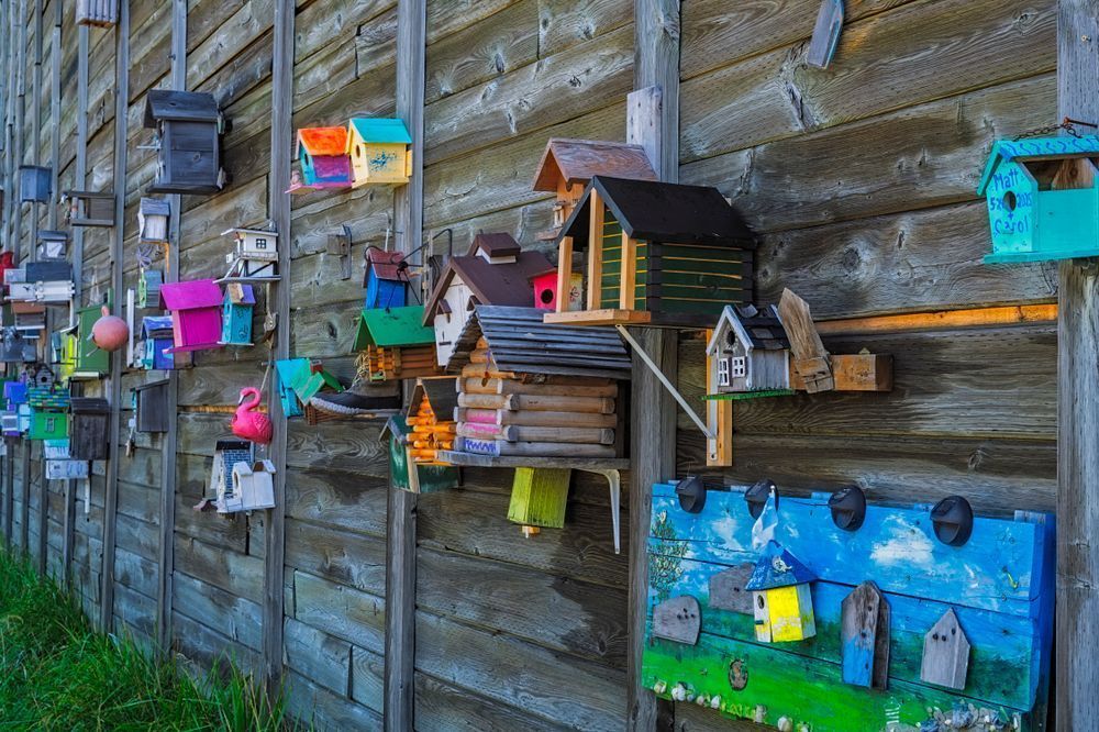 Birdhouses Along Route 201 - Colorful Maine Photography
