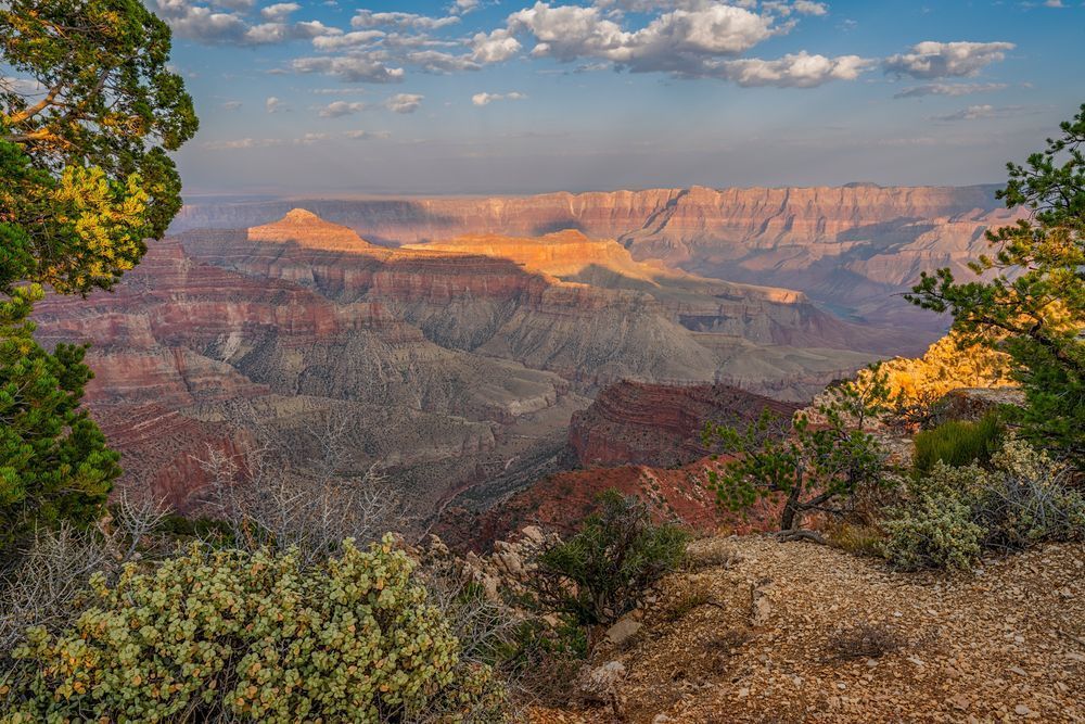 Cape Royal Afternoon - Grand Canyon Landscape Photography