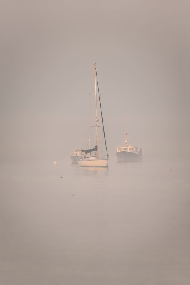 A Break in the Fog