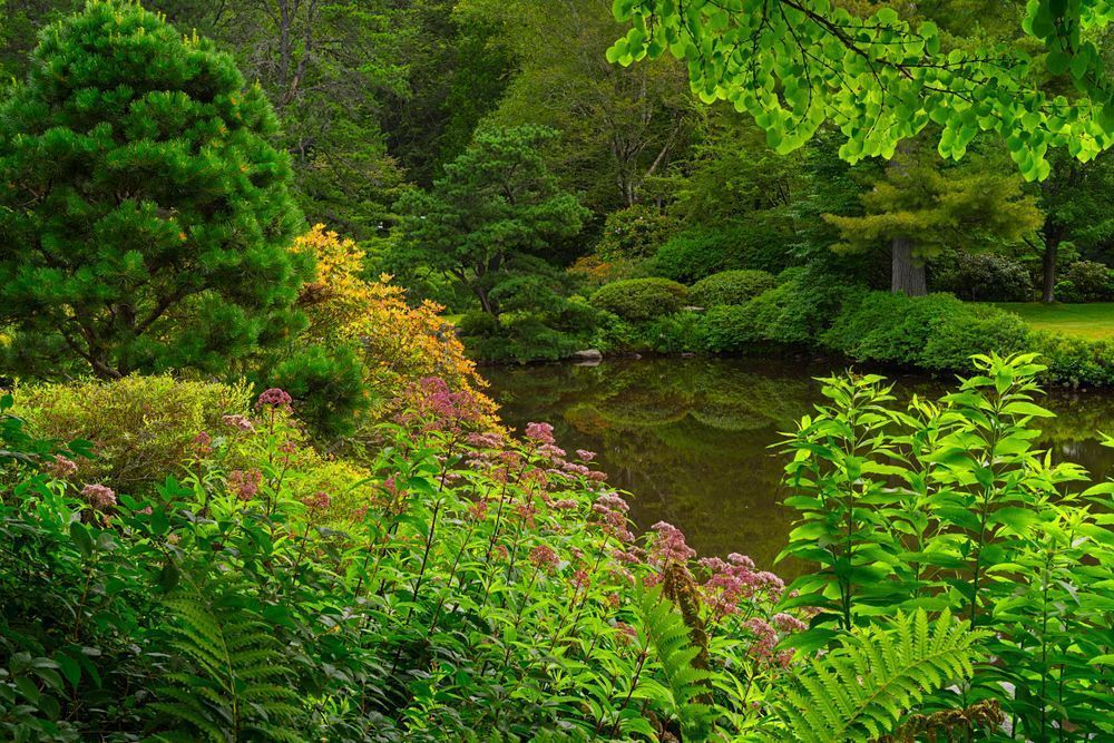 Asticou Garden - Tranquil Maine Landscape Photography