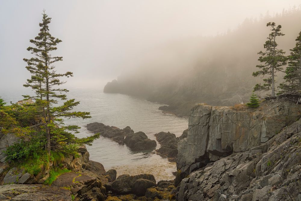 Foggy Afternoon - Serene Coastal Photography from Maine