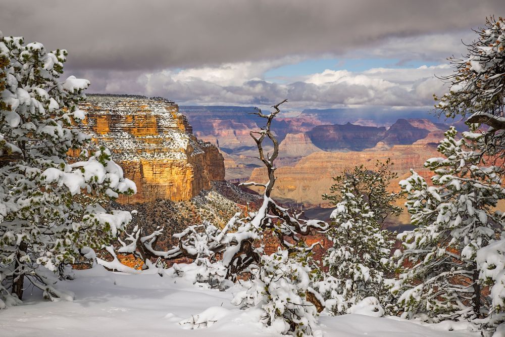 Grand Canyon Winter - Stunning Snowy Landscape Photography