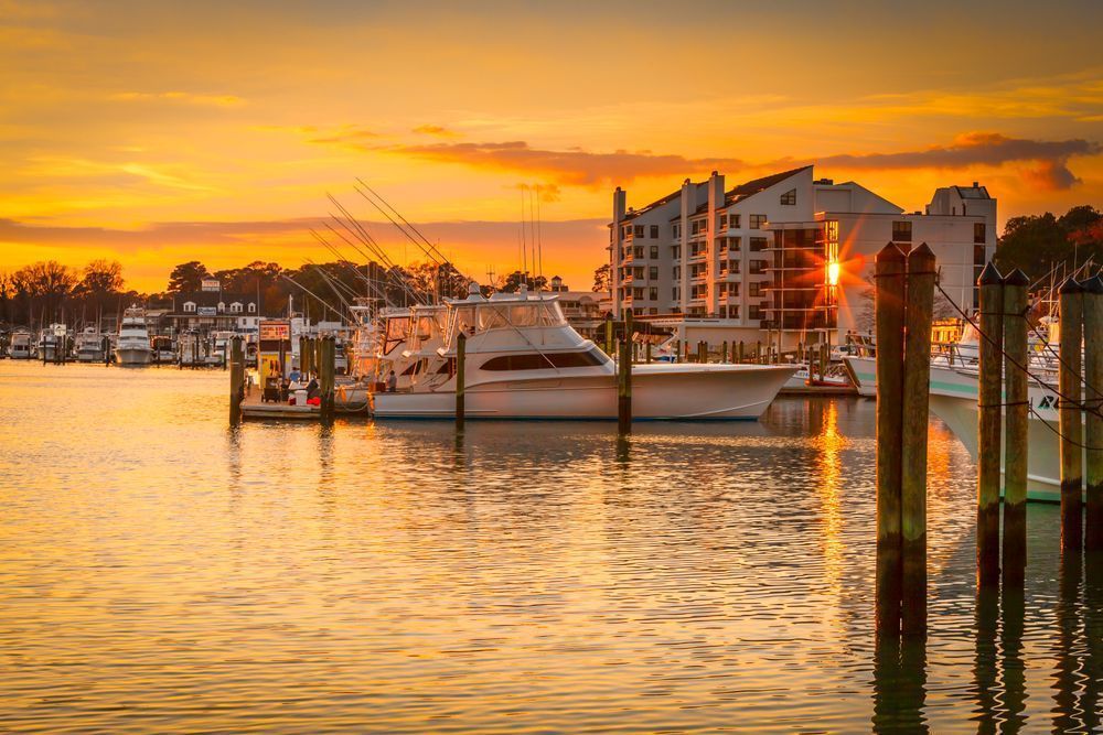 Golden Sunset