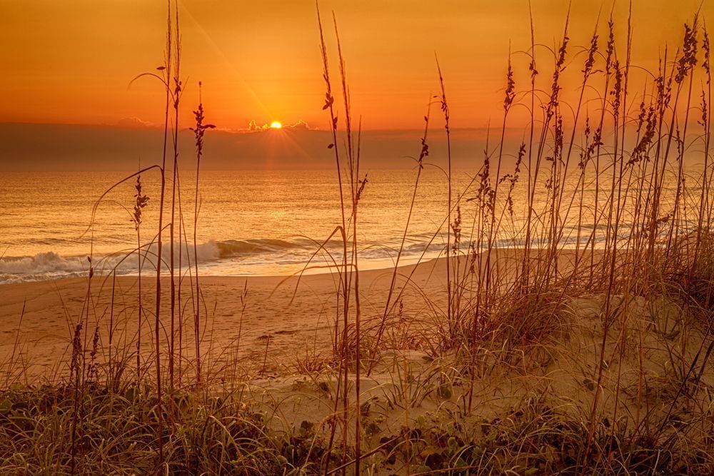 Golden Sunrise