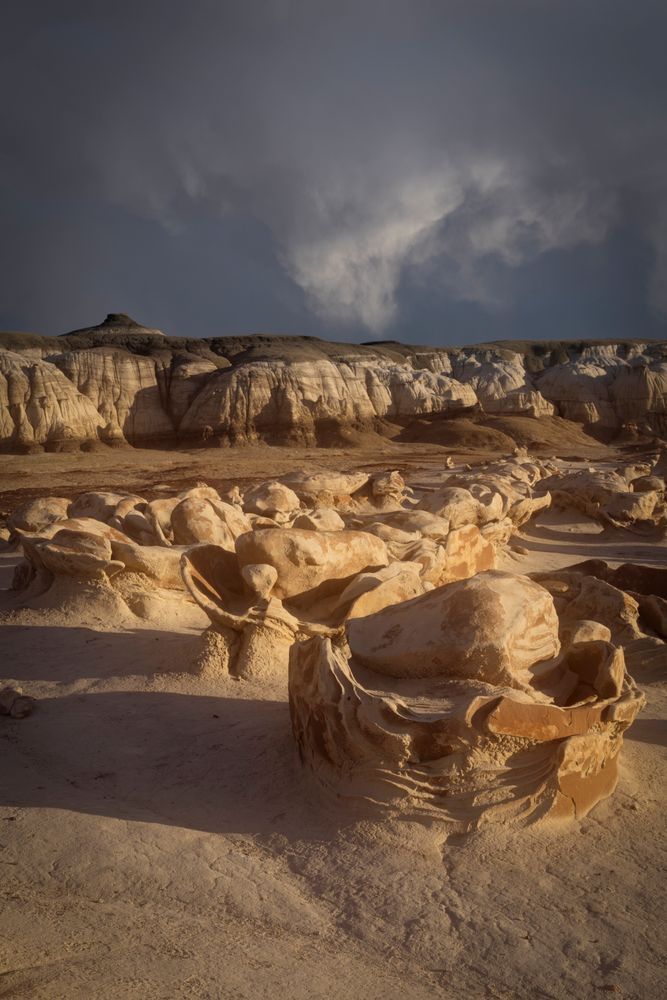 Eroded Echoes of Bisti