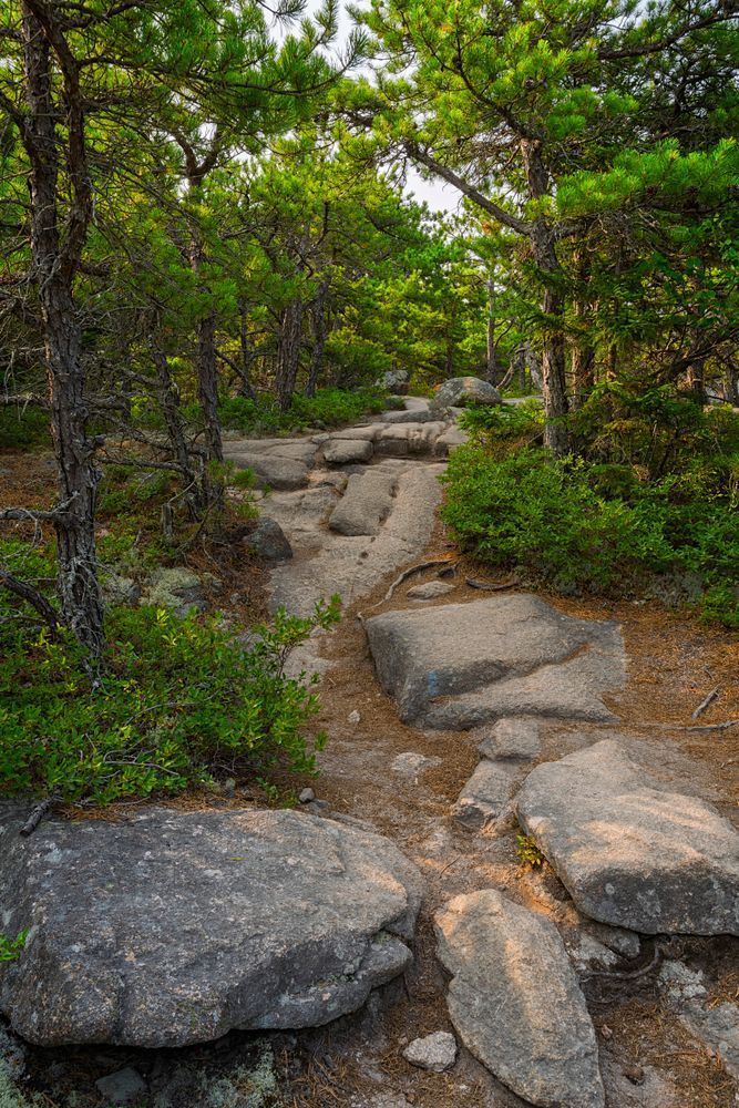 Heading Up Cadillac Mountain - Scenic Maine Photography