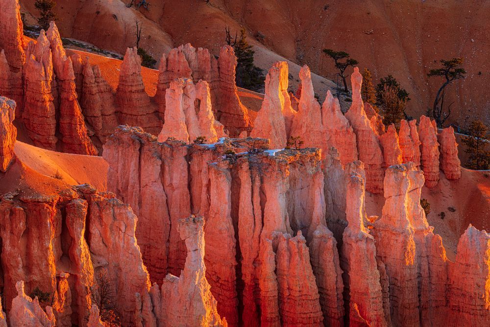 Hoodoo Morning - Sunrise at Bryce Canyon National Park