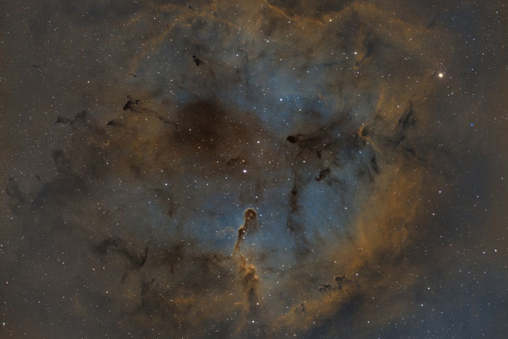 IC 1396 The Elephant Trunk Nebula - Astrophotography Print