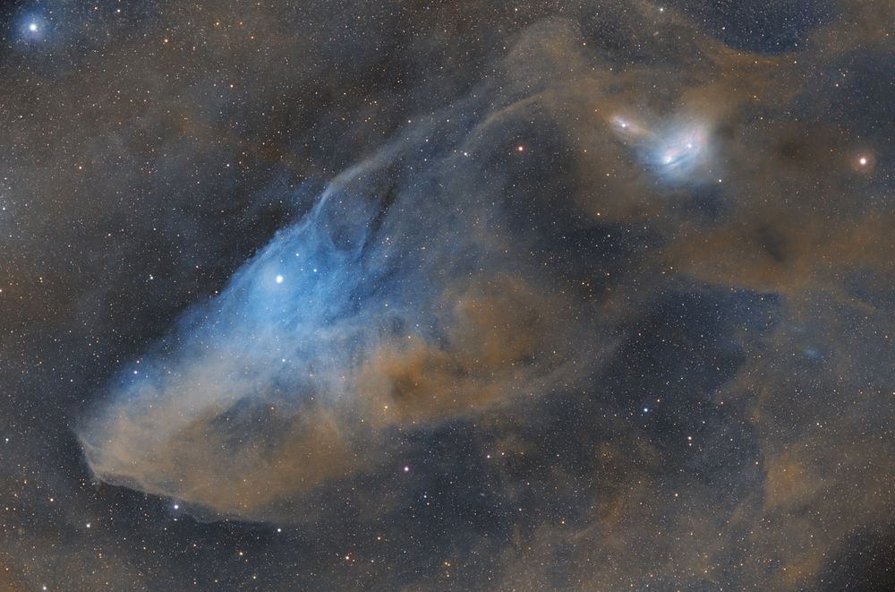 IC 4592 Blue Horsehead Nebula - Stunning Astrophotography Print