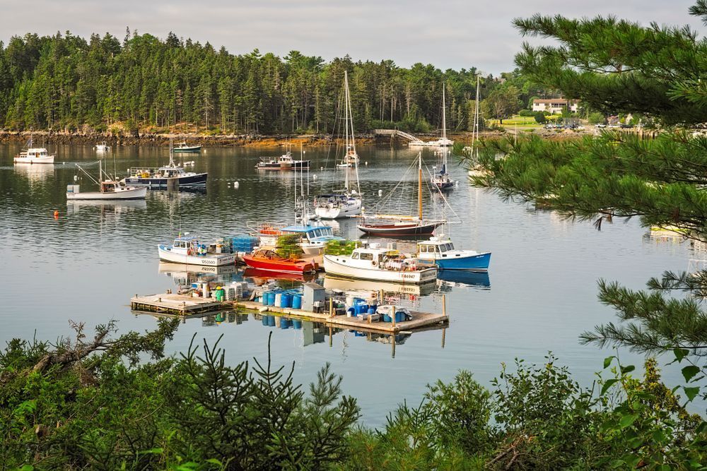 Northwest Harbor Morning - Tranquil Maine Photography