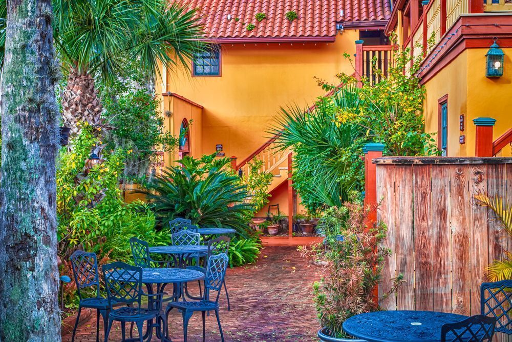 Outdoor Serenity - Vibrant Courtyard Photography