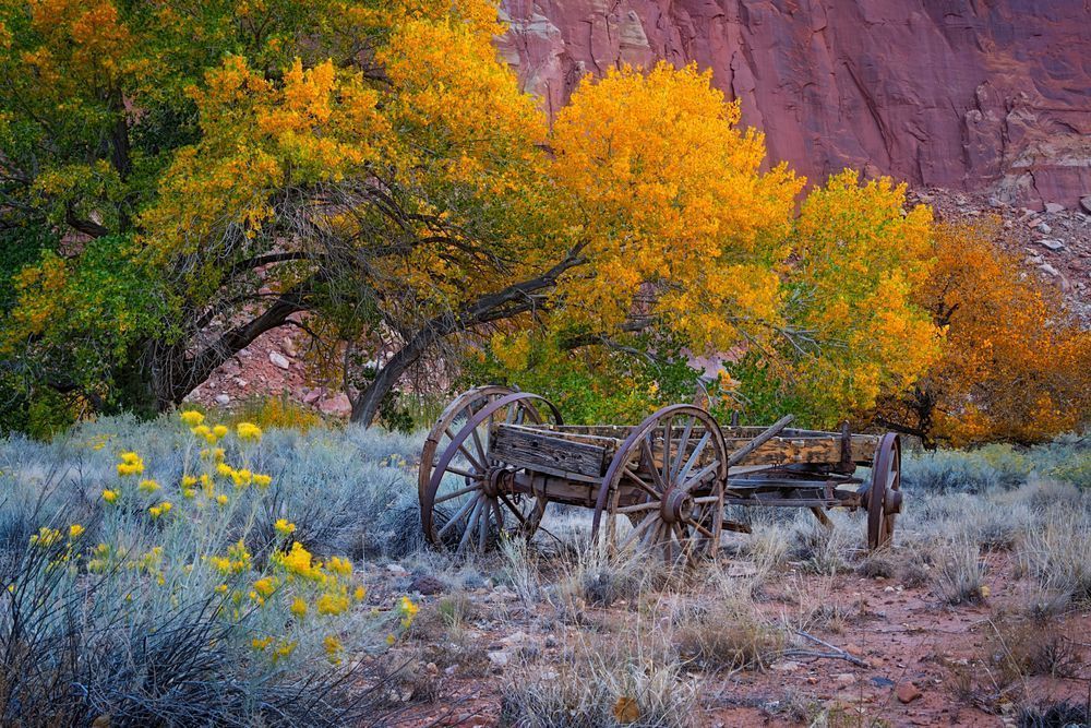 Old Wagon