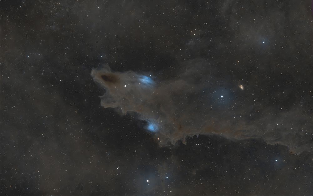 LDN 1235 Dark Shark Nebula - Astrophotography Print