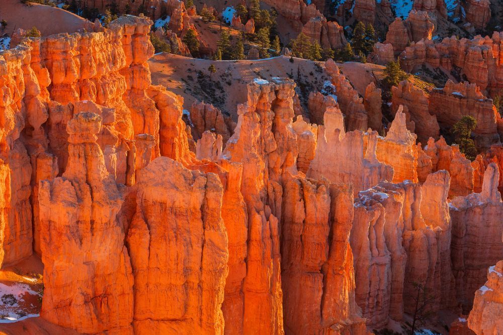 Morning Hoodoo Glow - Bryce Canyon Photography