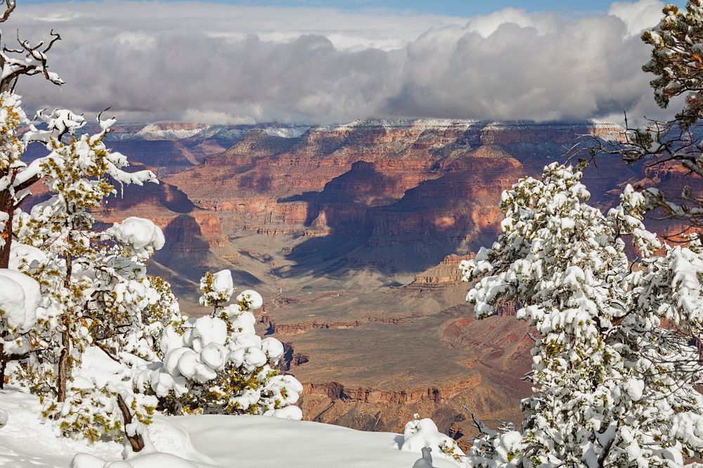 Rim Views - Winter Landscape Photography of Grand Canyon