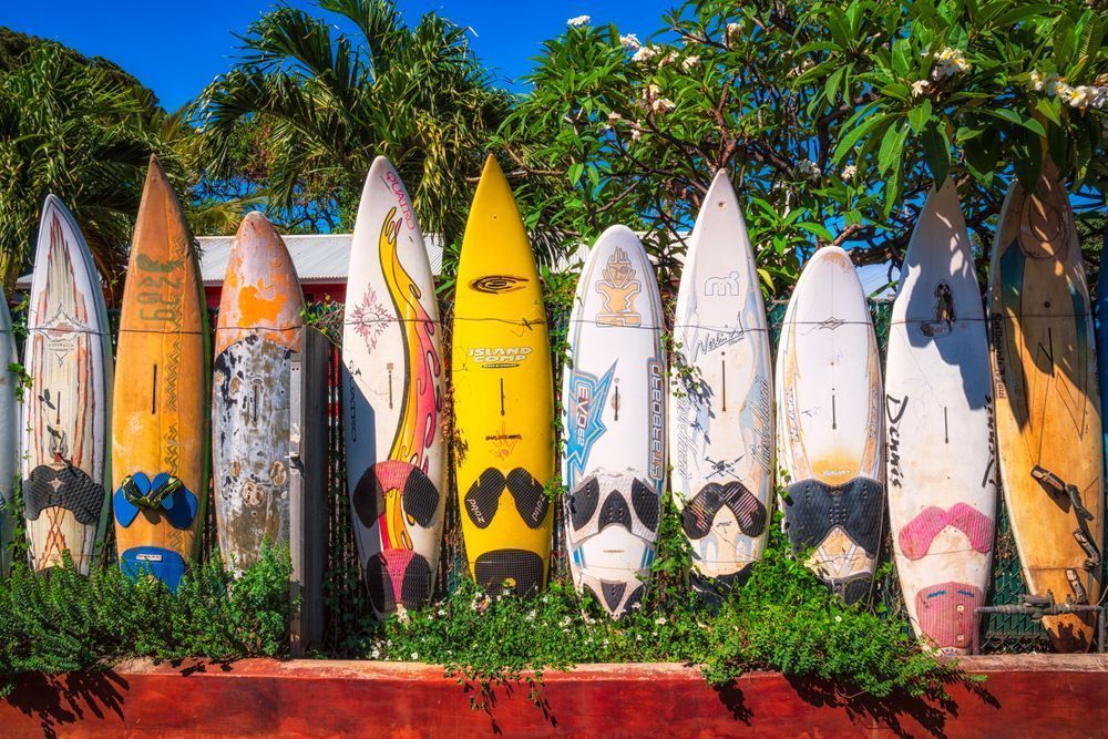 Surfboard Fence - Vibrant Coastal Photography