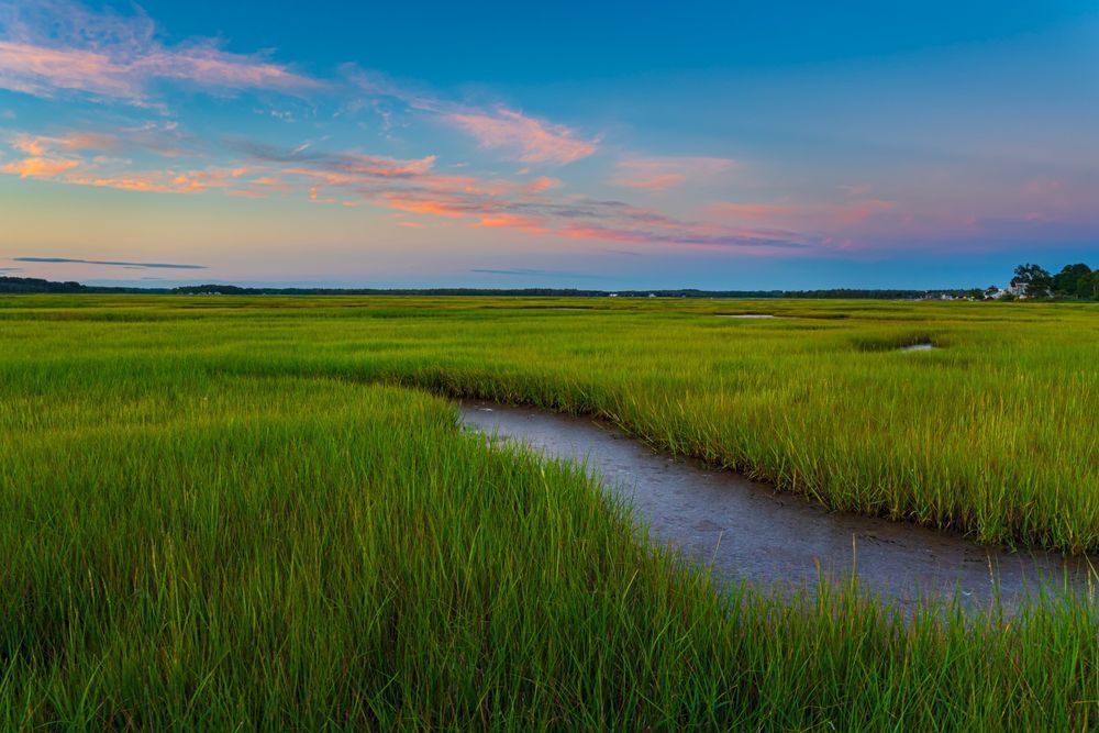 Salt Marsh Evening - Serene Sunset Photography