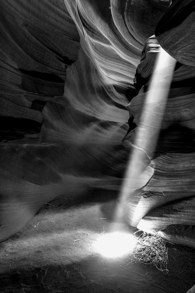 Shaft of Light
