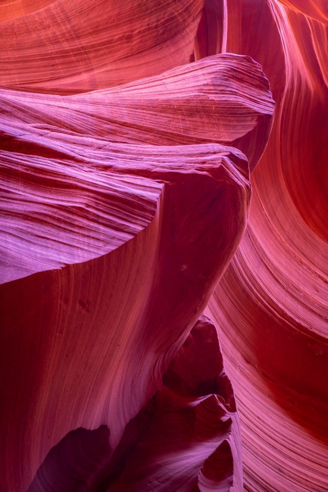 Pink: Abstract Sandstone Landscape Photography