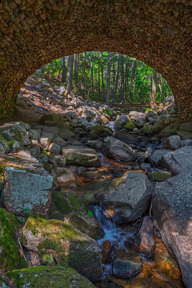 Vault of Cobbles - Serene Nature Photography