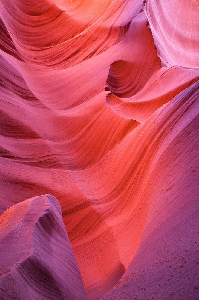 Vivid Flames: Serene Sandstone Canyon Photography