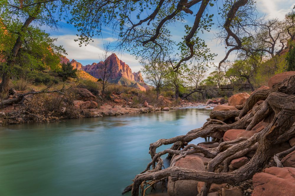 Watchman Afternoon - Tranquil Virgin River Landscape Photography