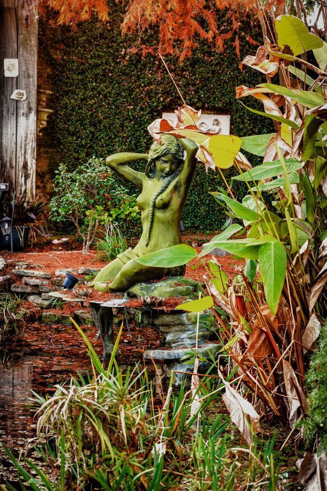 Water Nymph