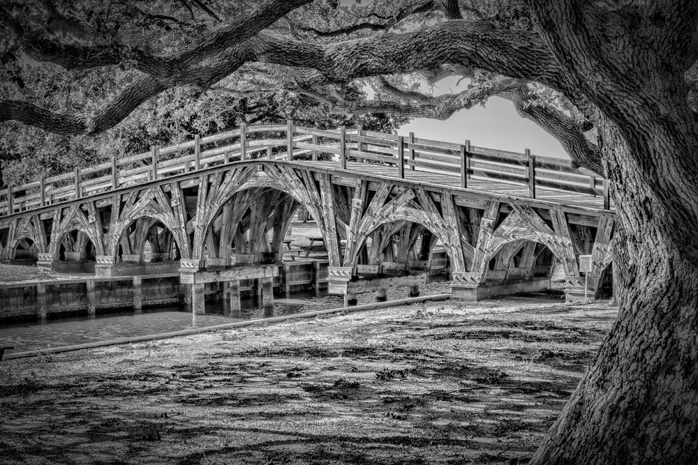 Wooden Bridge - Black and White Landscape Photography