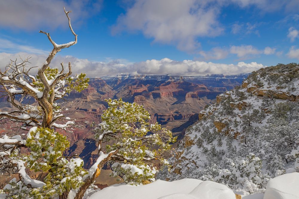 Yavapai Point View - Winter Landscape Photography