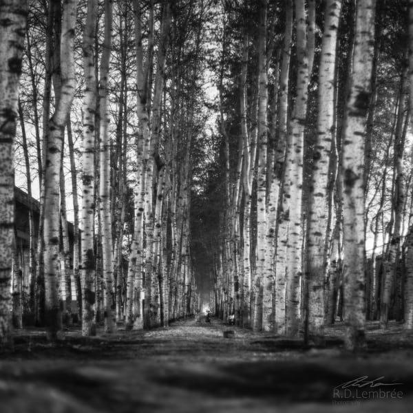 Between Highways 2