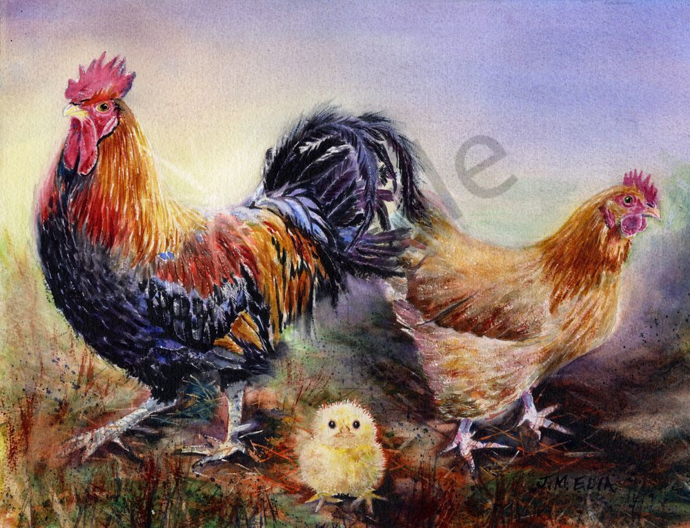 A Fine Feathered Family Art | Artistry By Night