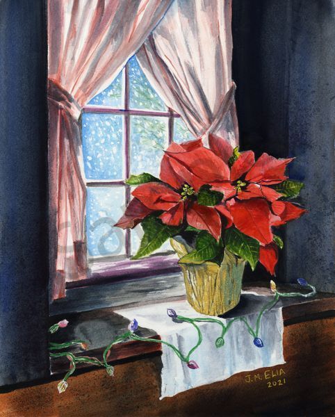 Poinsettias on the windowsill for christmas