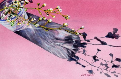 Mdawmdawmdawmdaw7qgraepd6cacehr zcfbfywxu2fyveayeunrgwctqqqltnerwweter6yomfiojy24adow ljj7f22f2vd2s3k0fn 38ezqodftc2xeuhdjufahdziomokxodj3hs jg da6ji5eudq olwagpj5emn5ayxmbb931m0mpagulupxnb3uwbrtxsdpuup sre8ex4vnw kydbjz7qsosaaklyfwi m2bl ghfqh6uvubbpjqzilucflwulyo8akewlyndpbcjgmhw f438bmtxrgekhz6jlpw2nub9hs1u ntn zunuce8