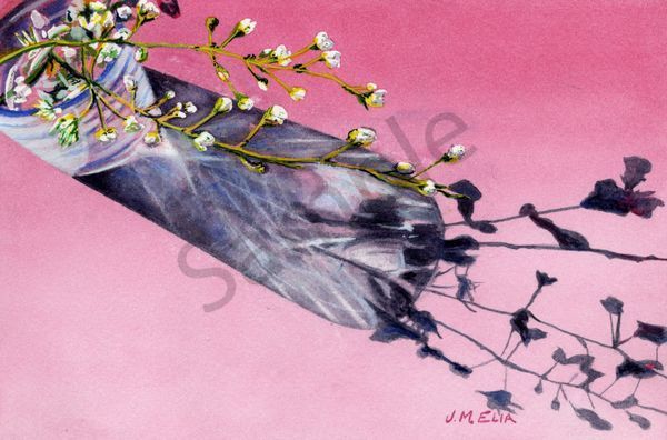 Buds And Stems Art | Artistry By Night